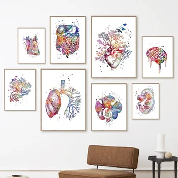 Анатомические органы, Сердце, Печень, легкие, Почки, мозг, Плакат с медициной и принты, настенное искусство, холст, живопись, настенные панно, декор комнаты врача
